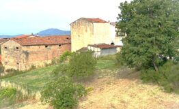 miniatura di IMG-20260616-WA0001