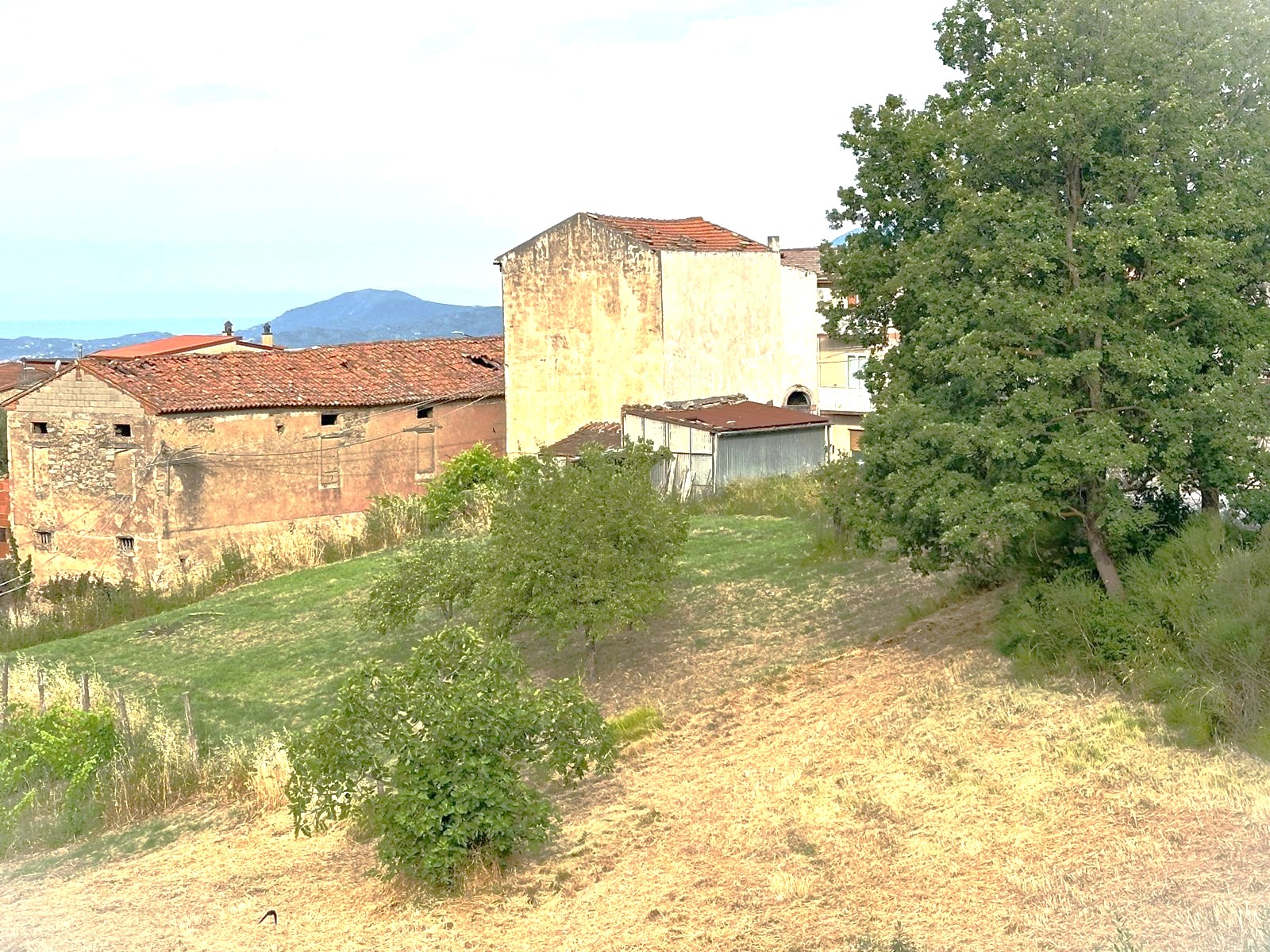 IMG-20260616-WA0001