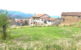 miniatura di IMG-20260616-WA0002