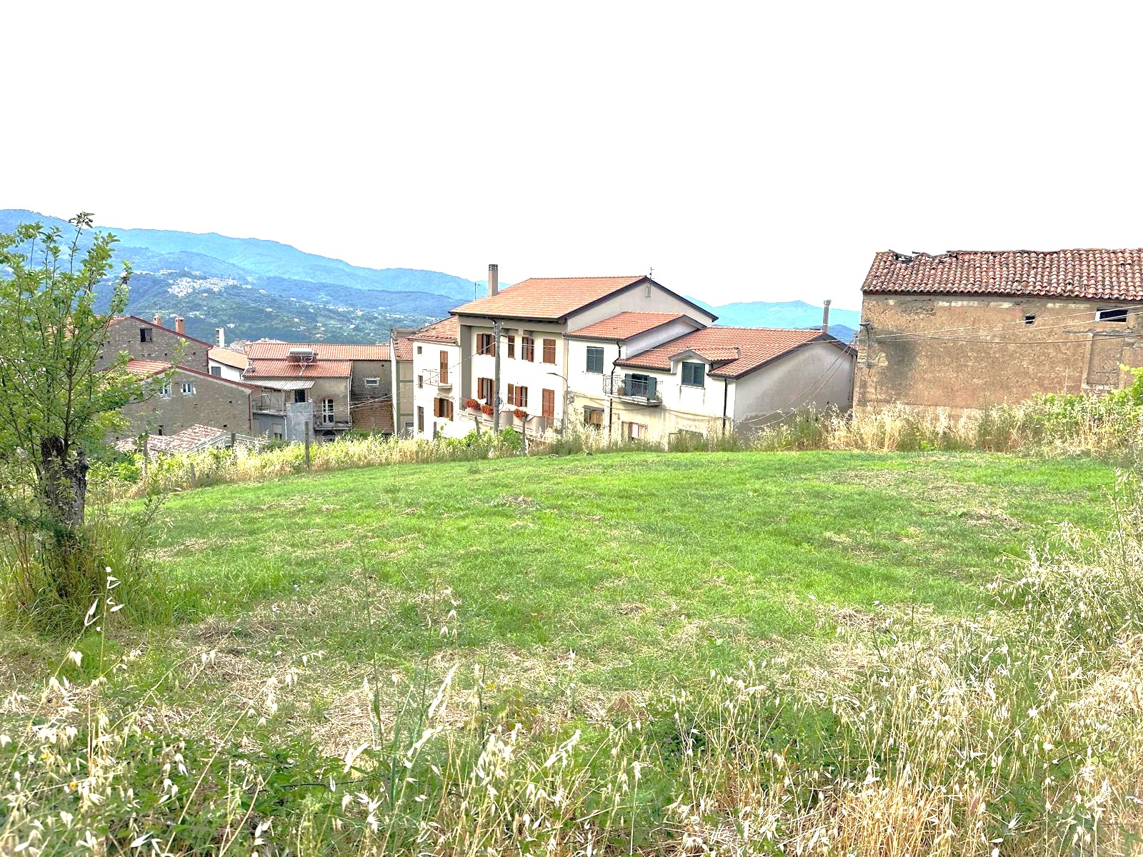 IMG-20260616-WA0002