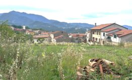 miniatura di IMG-20260616-WA0003