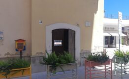miniatura di 20250711_105952