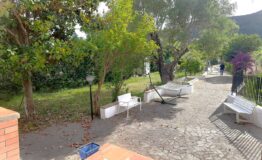 miniatura di 20260609_172849