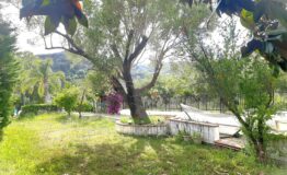 miniatura di 20260609_172926