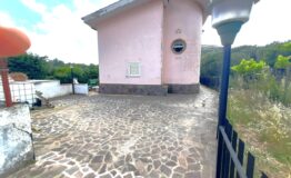 miniatura di 20260609_173411