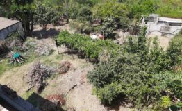 miniatura di 20260624_115737