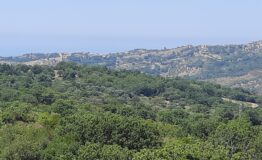 miniatura di 20260624_115819