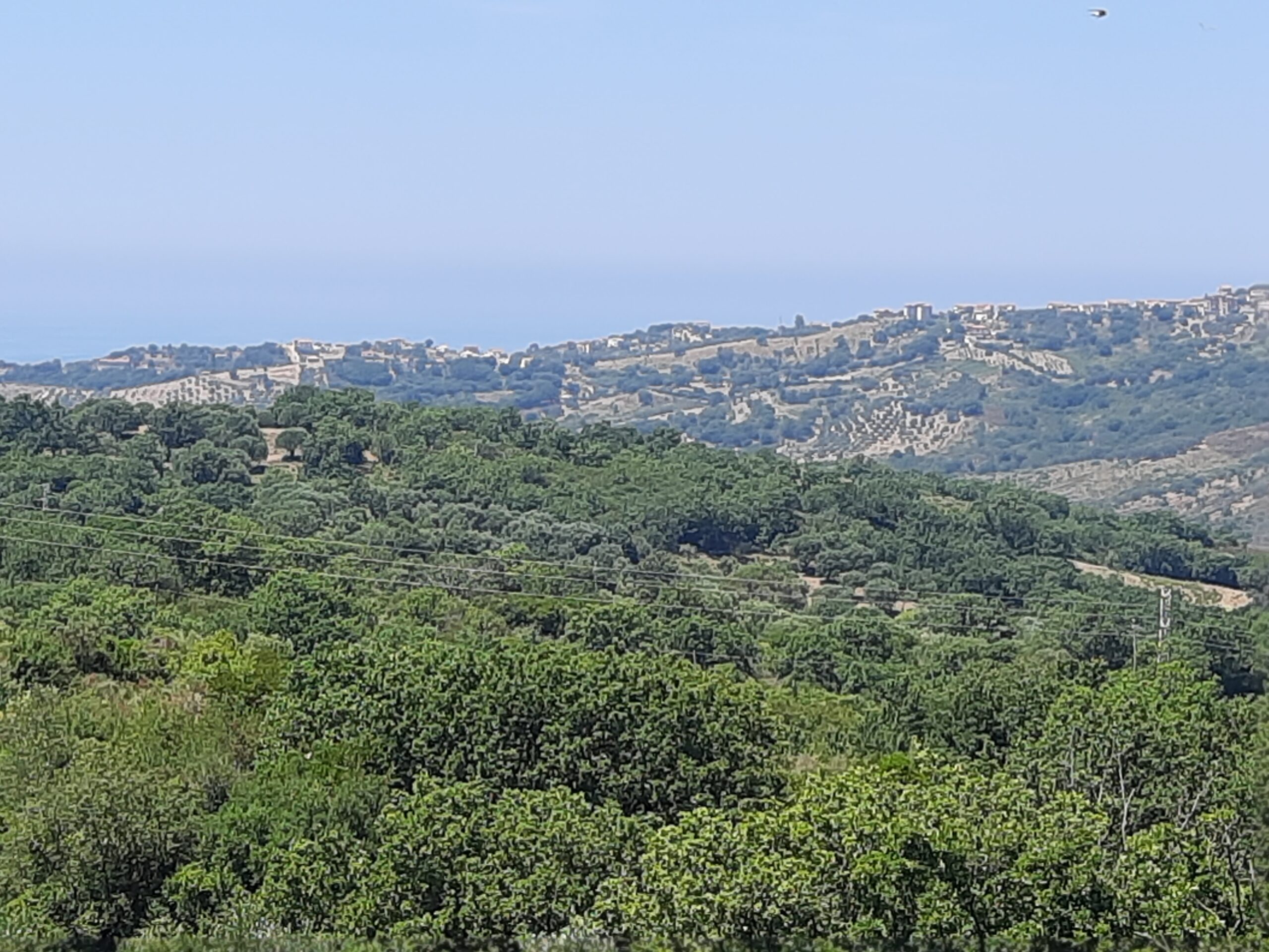 20260624_115819