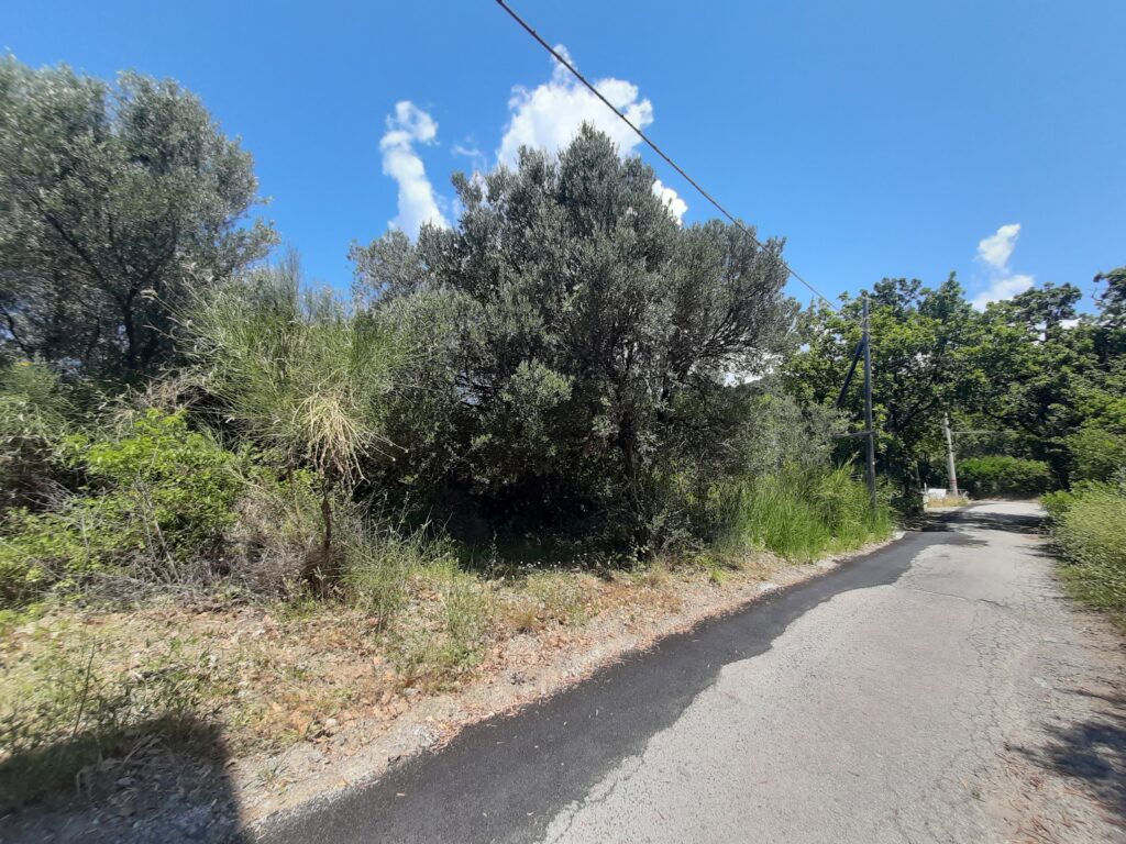 Terreno Caprioli
