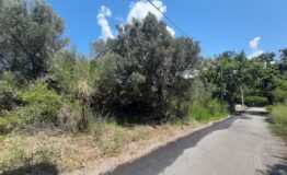 miniatura di 20260625_115829