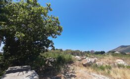 miniatura di 20260625_115909