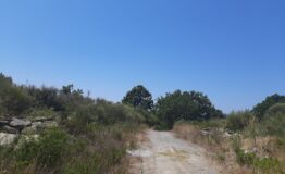 miniatura di 20260625_120022