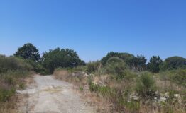 miniatura di 20260625_120025