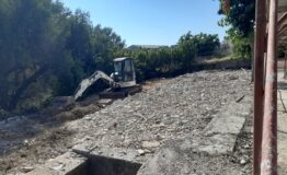 miniatura di 20260711_164815