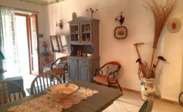miniatura di 20260718_180401
