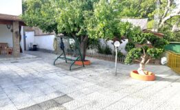 miniatura di 20260718_180507