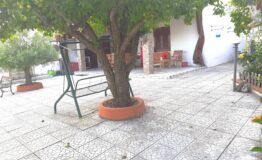 miniatura di 20260718_180520