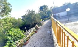 miniatura di 20260718_180651