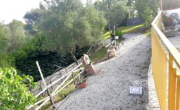 miniatura di 20260718_180657