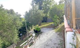 miniatura di 20260718_180707
