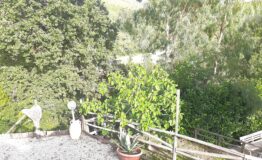 miniatura di 20260718_180713