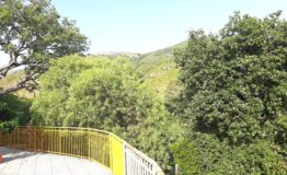 miniatura di 20260718_180717