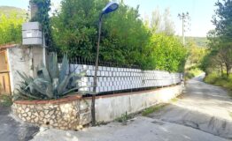 miniatura di 20260718_182128