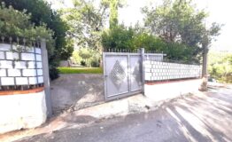 miniatura di 20260718_182229