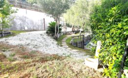 miniatura di 20260718_182338