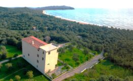 miniatura di IMG-20251115-WA0033