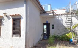 miniatura di 20260730_095032