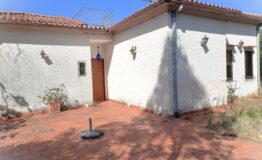 miniatura di 20260730_095055