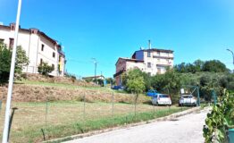 miniatura di 20260813_103142