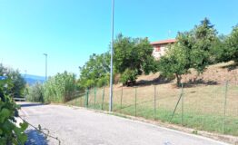 miniatura di 20260813_103156