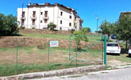 miniatura di 20260813_103200