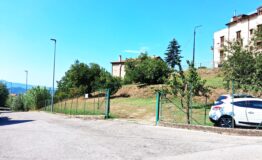 miniatura di 20260813_103217