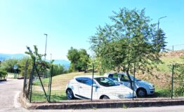 miniatura di 20260813_103227