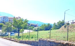 miniatura di 20260813_103306