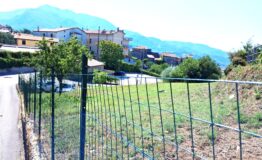 miniatura di 20260813_103328