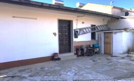 miniatura di IMG-20261014-WA0008