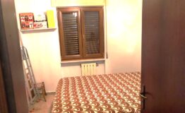 miniatura di IMG-20261014-WA0019
