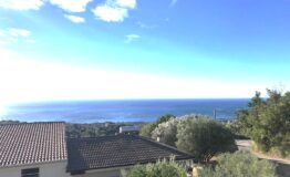 miniatura di IMG-20261014-WA0022