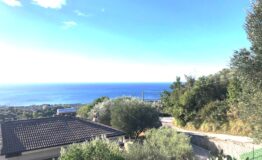 miniatura di IMG-20261014-WA0023